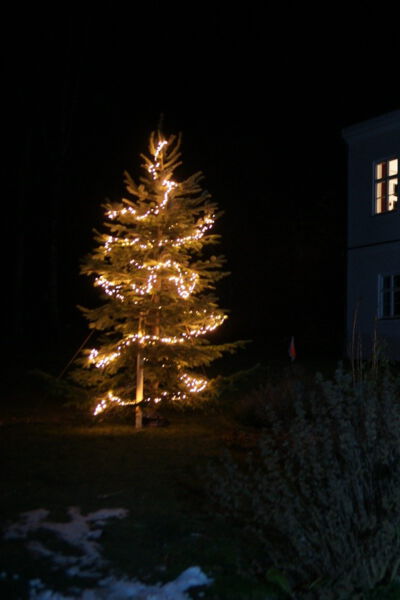 Christbaum 2021/2022 vor Schloss Rudolfshausen