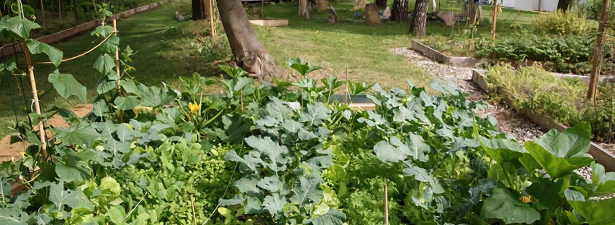 Permakultur Fruchtwaldgarten Schloss Rudolfshausen