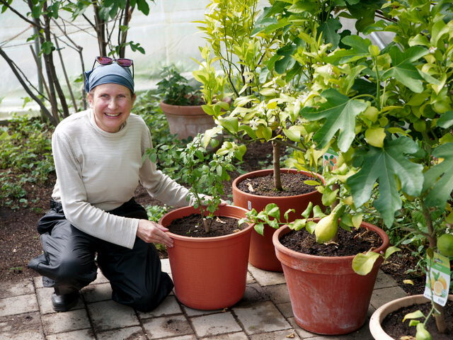 Alexandra Walterskirchen mit der überwinterten, tapferen Chili-Pflanze